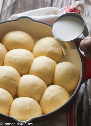 Samoan Coconut Bread Rolls( Pani Popo)